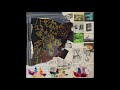 Animal Collective - Time Skiffs [Compiled Live Versions]