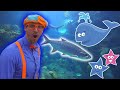 Blippi Blippi Visits The Aquarium Educational Videos For Toddlers