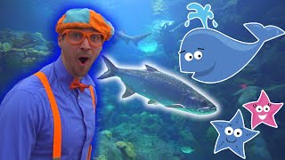 Download lagu Blippi | Blippi Visits The Aquarium! | Educational Videos for Toddlers mp3
