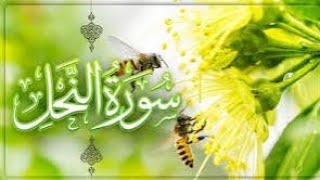 سورة النحل #سورة #النحل #اسباب #النزول #فضلها #اسماء #شرح #درس #تعليم_الاطفال #موعظة #مشاركة