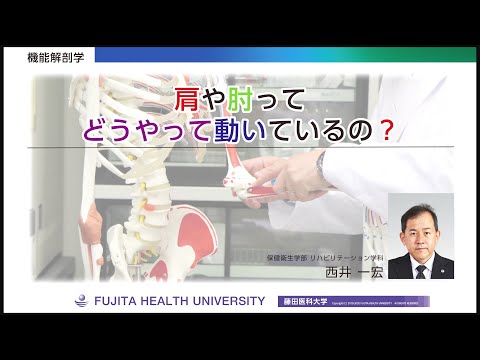 オンライン授業「肩や肘ってどうやって動いているの？」