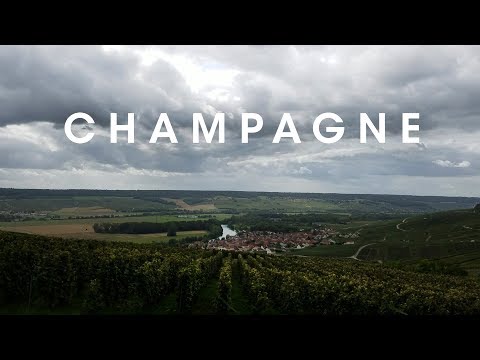 Riding Bikes Through the Vineyards of Champagne Video