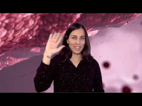 Vídeo: Clasificación dos seres vivos