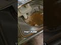 Miele Vs Bosch Diy Miele Bosch Fyp Appliances