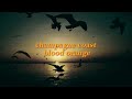 Champagne Coast Blood Orange Slowed 2nd Half Best Part