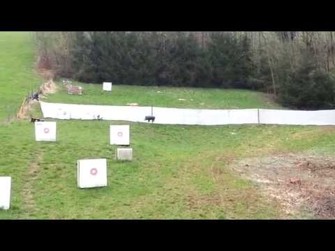 3d Bogenschießen auf laufenden Keiler