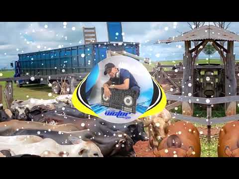 Japãozin - Dois Zeros Remix (( Versão Bregadeira ))