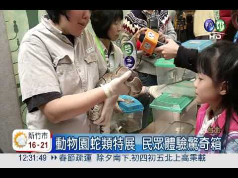 迎接小龍年! 摸驚奇箱與蛇互動