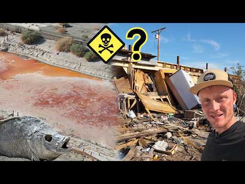 The Salton Sea: Exploring California’s Environmental Disaster