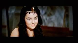 Interpol - Flight Of Fancy