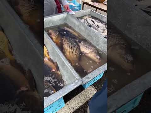 Жива риба на ринку