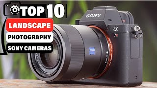 10 Best Sony Cameras to Capture Beautiful Landscapes