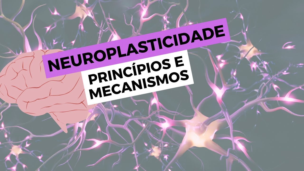 O que é NEUROPLASTICIDADE? | neurofisiologia