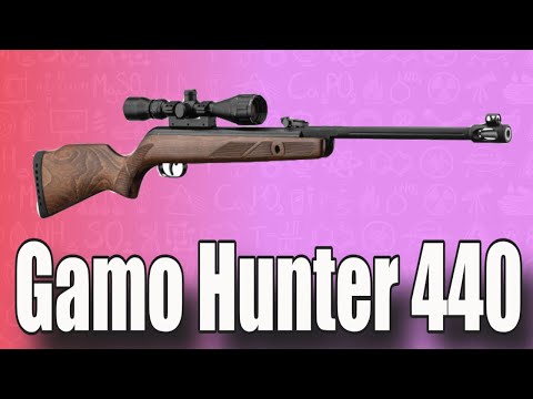 A  .177 Gamo Hunter air rifle for Christmas.