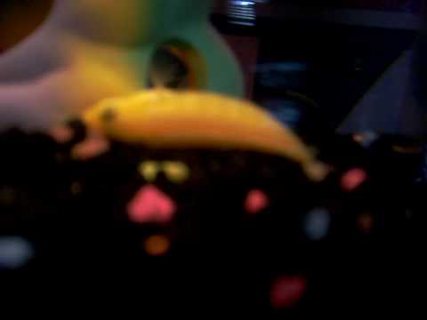 the death of aphrodite ):