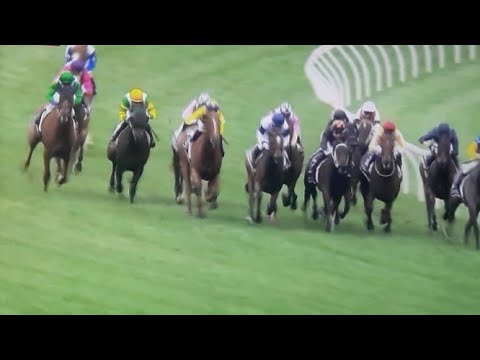 KENNEDY OAKS DAY 2019 CONGRATS MIAMI BOUND