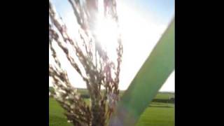 Changed My Life - by Kate O'Brien