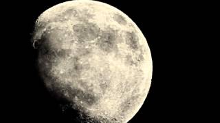 April Moon - Sam Brown