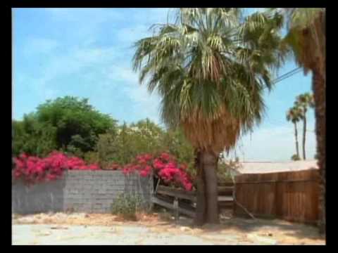 Brant Bjork ♮ Sabbia ♮ DvD (2006)