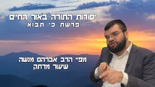 פרשת השבוע כי תבוא שיעור מרתק | הרב אברהם מנשה | שידור חי #foryou #קצר #פרשתהשבוע (הרב מיכאל לסרי) - התמונה מוצגת ישירות מתוך אתר האינטרנט יוטיוב. זכויות היוצרים בתמונה שייכות ליוצרה. קישור קרדיט למקור התוכן נמצא בתוך דף הסרטון פרשת השבוע כי תבוא שיעור מרתק | הרב אברהם מנשה | שידור חי #foryou #קצר #פרשתהשבוע (הרב מיכאל לסרי) - התמונה מוצגת ישירות מתוך אתר האינטרנט יוטיוב. זכויות היוצרים בתמונה שייכות ליוצרה. קישור קרדיט למקור התוכן נמצא בתוך דף הסרטון