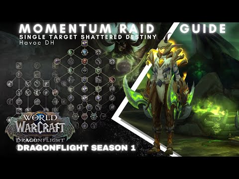 Momentum Havoc DH Raid Guide
