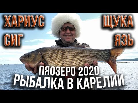 Рыбалка в Карелии, Пяозеро 2020, сиг, хариус, язь, щука.