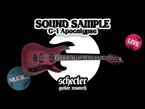 🎸 쉑터 C-1 Apocalypse 사운드 샘플 | 준까치