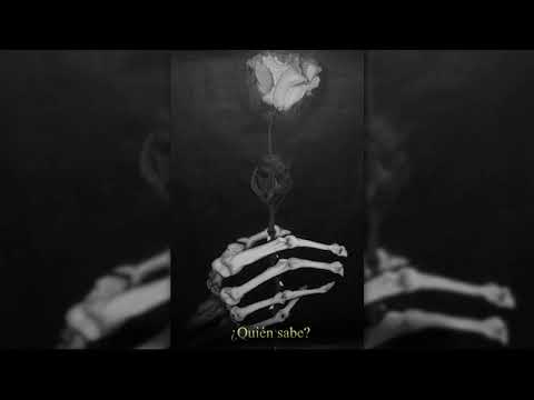 Solitario - Todo parece infinito un minuto antes de que se acabe [ Letra ]