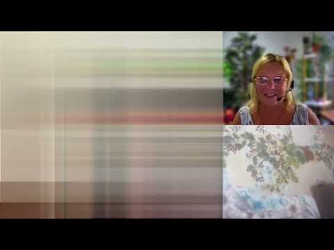 842 RO Hipnoza regresiva & hipnoterapie. Maria, pentru parintii plecati .