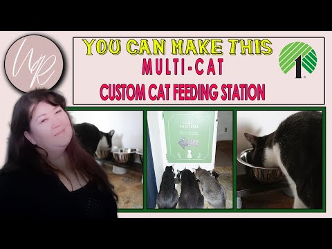 MULTI-PET ELEVATED FEEDING STATION// Dollar Tree DIY