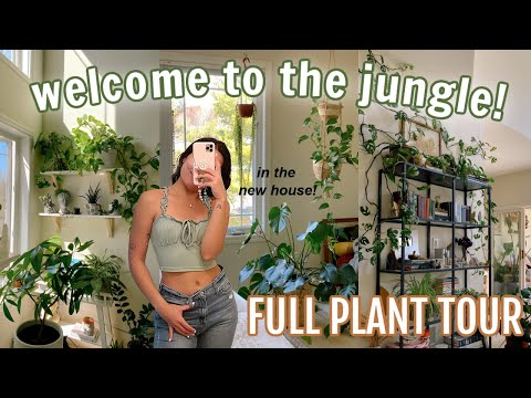 My 100+ houseplant tour in the NEW HOUSE!!! (beginner to expert level) 🌿