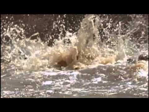 AFRICA ''Living Together'' - Time Will Remember Us