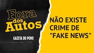 Não existe crime de fake news, explica Thaméa Danelon