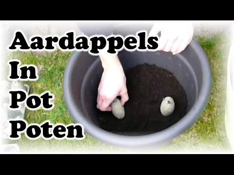 , title : 'De Moestuin #16: Aardappels In Pot Poten'