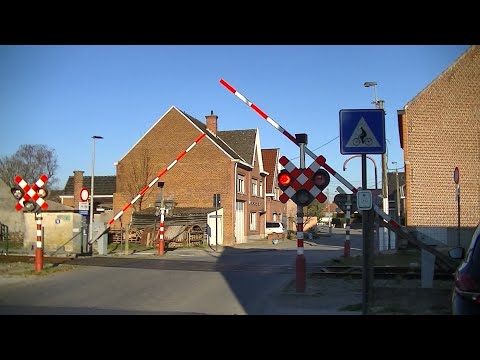 Spoorwegovergang Bambrugge (B) // Railroad crossing // Passage à niveau