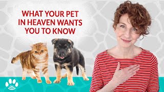 My Cat or Dog Just Died - How to Handle Passing of a Pet Right Now