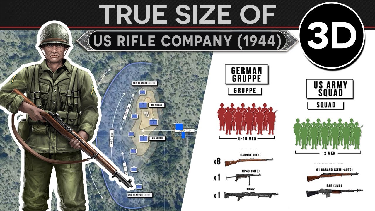 How the US Goes to War? - Anatomy and Tactics of an Army Rifle Company (June 1944) 3D DOCUMENTARY
