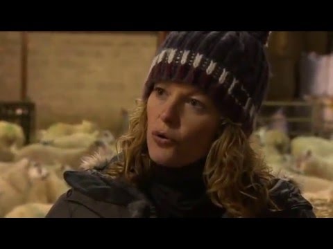 Lambing Live 2014, Series 3 Episode 3