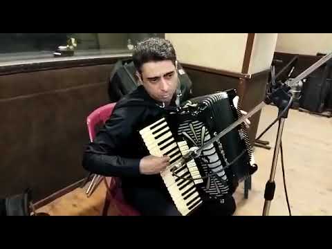 اكورديون sonola الايطالي