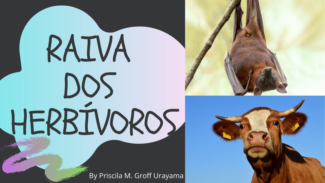 RAIVA DOS HERBÍVOROS - PNCRH