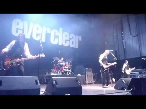 download lagu mp3 mp4 Sunflowers Houston Tx, download lagu Sunflowers Houston Tx gratis, unduh video klip Sunflowers Houston Tx