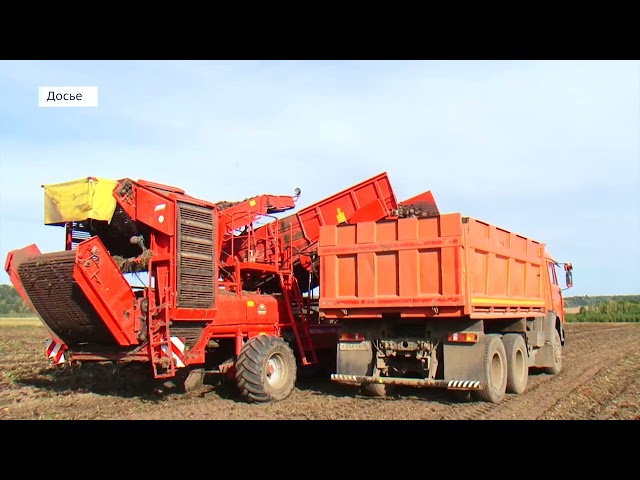 В Приангарье подсчитали экспорт продовольствия и сельхозсырья