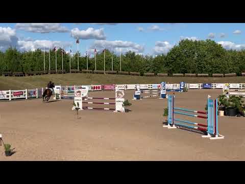 13yo gelding jumping 110 with 13 yo girl