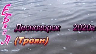 Летняя рыбалка на десногорском водохранилище 2020