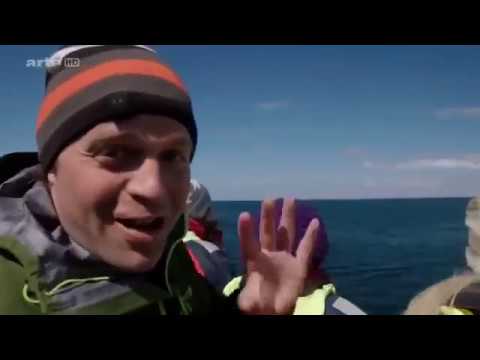 Skandinavien - Der Ruf der Natur | Wale und Co. [Doku]