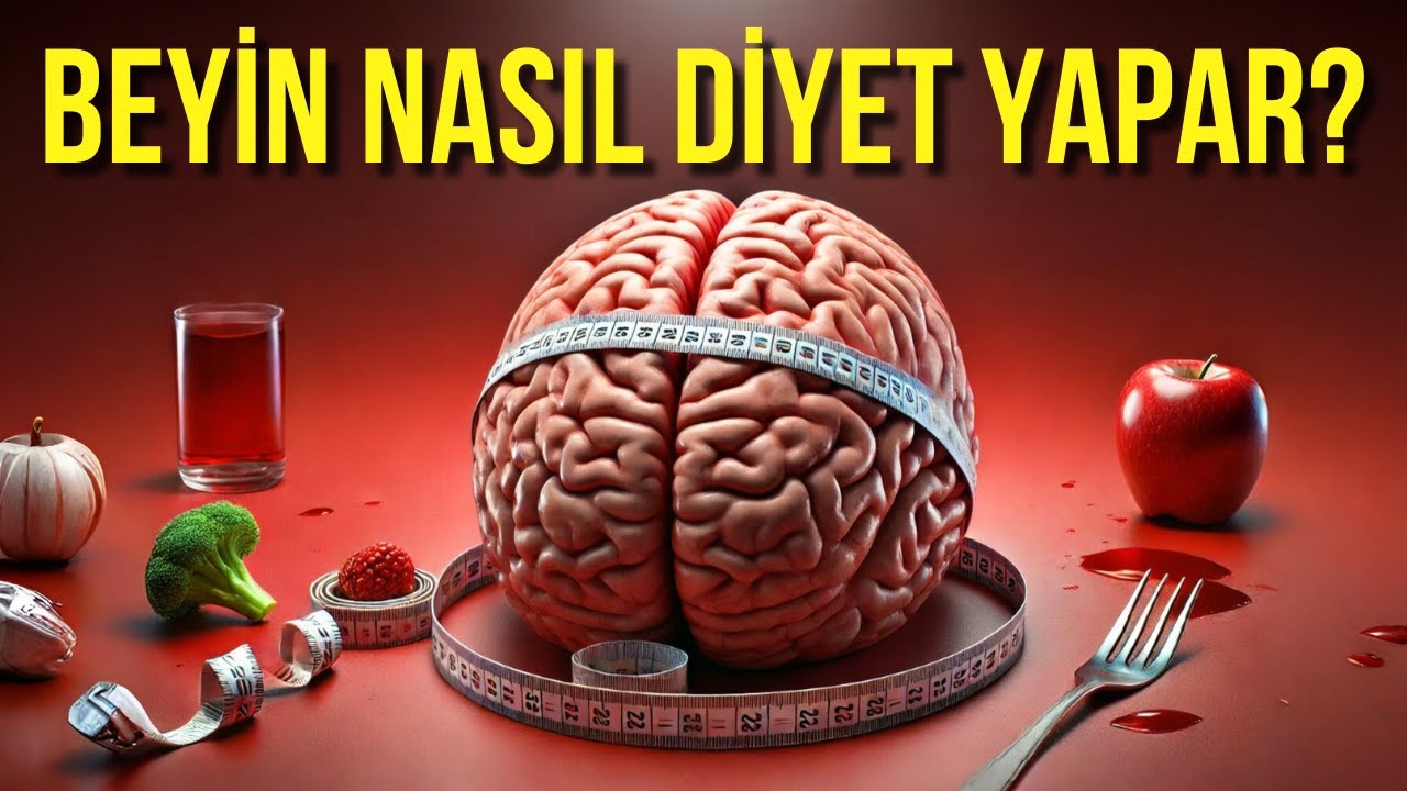 BEYİN DİYETİ - ZİHİNSEL OBEZİTE - Beyni Hızlı Çalıştırmak