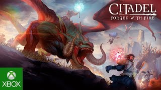 Video Citadel: Forged with Fire XBOX ONE / XBOX SERIES X|S ?