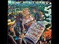 Nine Pound Hammer - Sex, Drugs & Bill Monroe (Full Album)