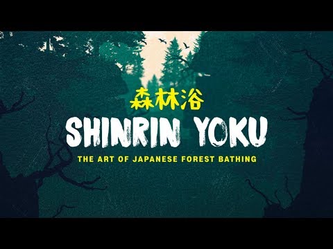 The Art of Japanese Forest Bathing d…: English ESL video lessons