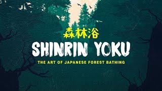 Shinrin Yoku: The Art of Forest Bathing